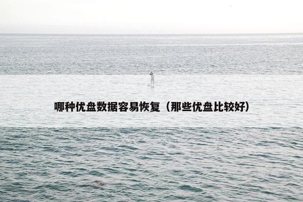 哪种优盘数据容易恢复（那些优盘比较好）
