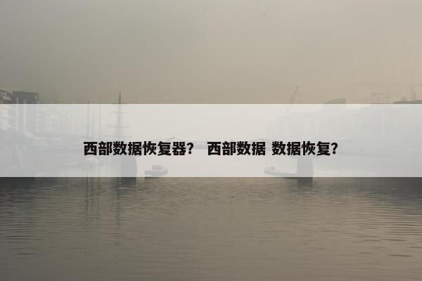西部数据恢复器？ 西部数据 数据恢复？