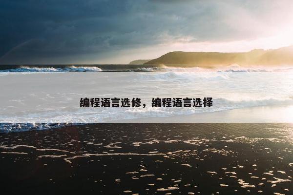 编程语言选修，编程语言选择