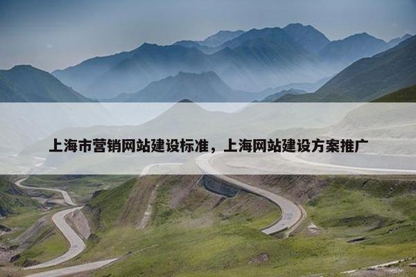 上海市营销网站建设标准，上海网站建设方案推广