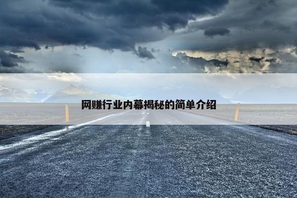 网赚行业内幕揭秘的简单介绍