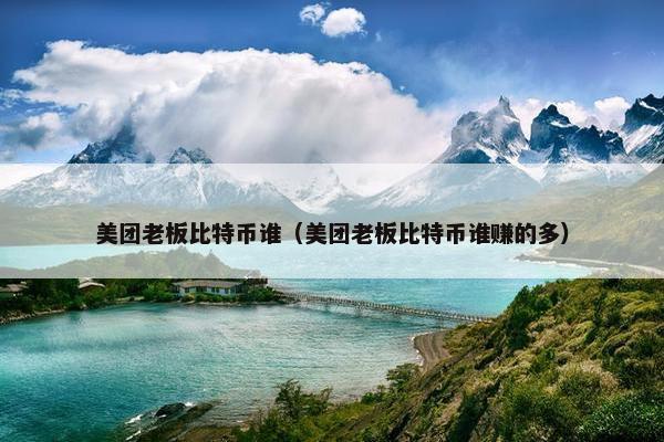 美团老板比特币谁（美团老板比特币谁赚的多）