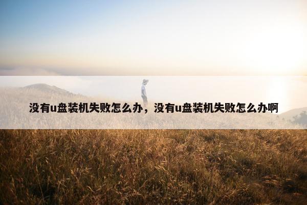 没有u盘装机失败怎么办，没有u盘装机失败怎么办啊