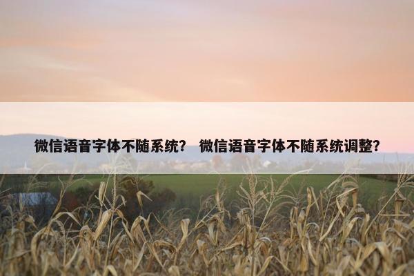 微信语音字体不随系统？ 微信语音字体不随系统调整？