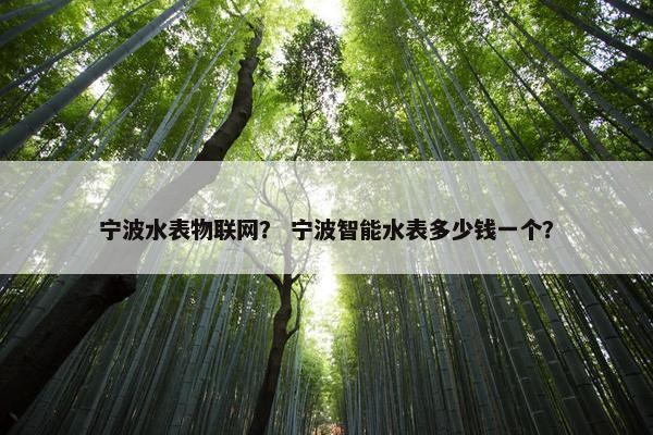 宁波水表物联网？ 宁波智能水表多少钱一个？