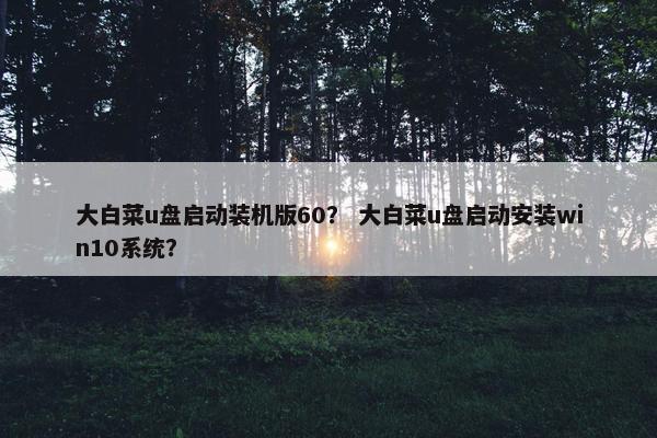 大白菜u盘启动装机版60？ 大白菜u盘启动安装win10系统？