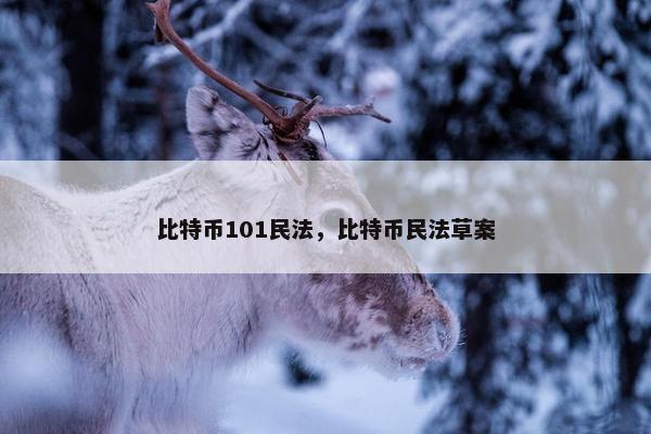 比特币101民法，比特币民法草案