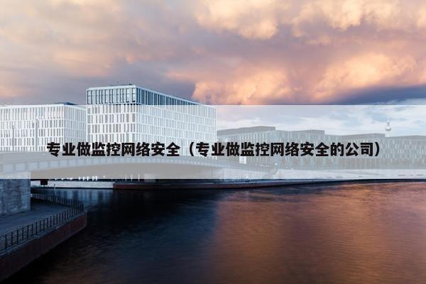 专业做监控网络安全（专业做监控网络安全的公司）