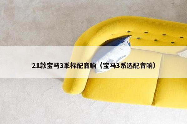 21款宝马3系标配音响（宝马3系选配音响）
