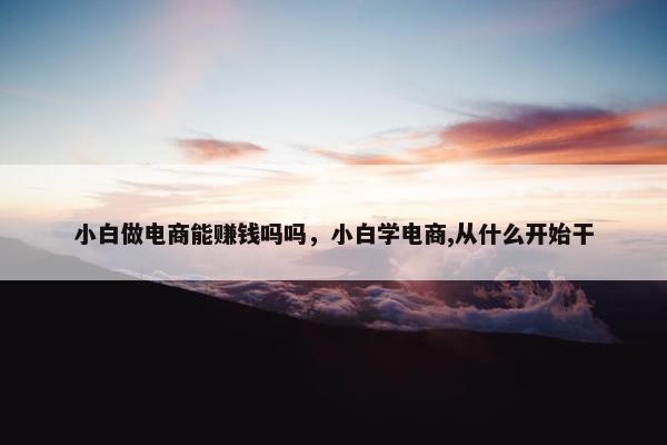 小白做电商能赚钱吗吗，小白学电商,从什么开始干