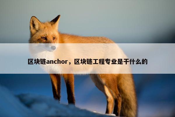 区块链anchor，区块链工程专业是干什么的