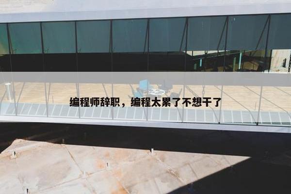 编程师辞职，编程太累了不想干了
