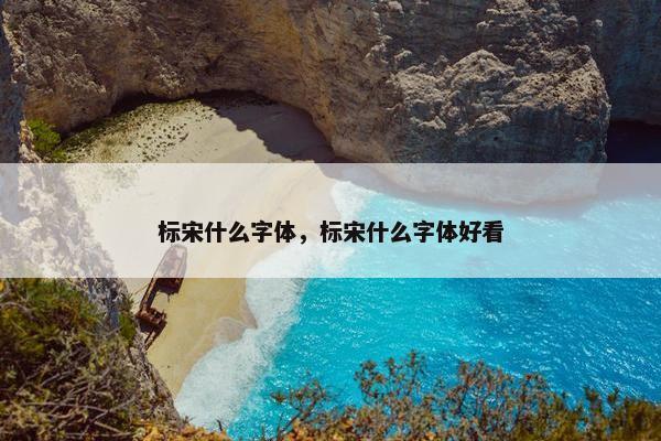标宋什么字体，标宋什么字体好看