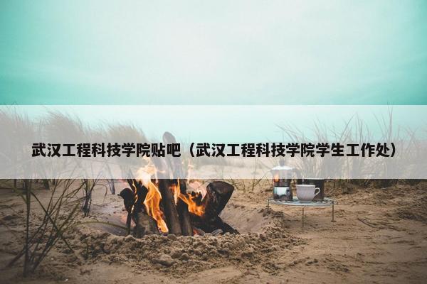 武汉工程科技学院贴吧（武汉工程科技学院学生工作处）