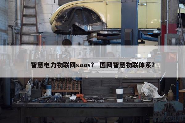 智慧电力物联网saas？ 国网智慧物联体系？