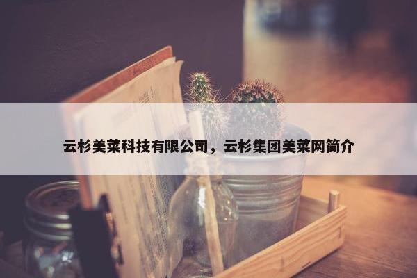云杉美菜科技有限公司，云杉集团美菜网简介