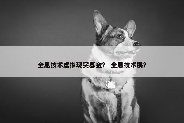 全息技术虚拟现实基金？ 全息技术展？
