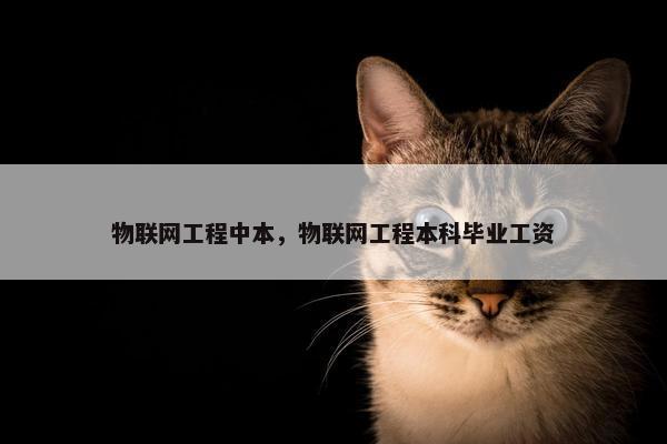 物联网工程中本，物联网工程本科毕业工资