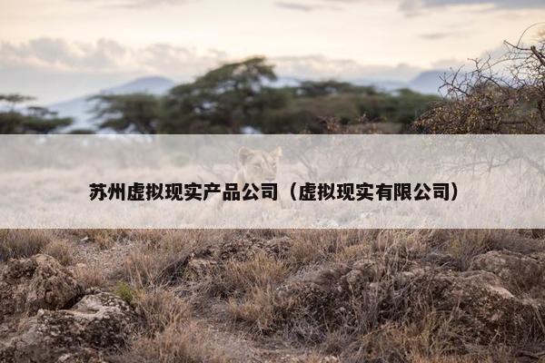 苏州虚拟现实产品公司（虚拟现实有限公司）