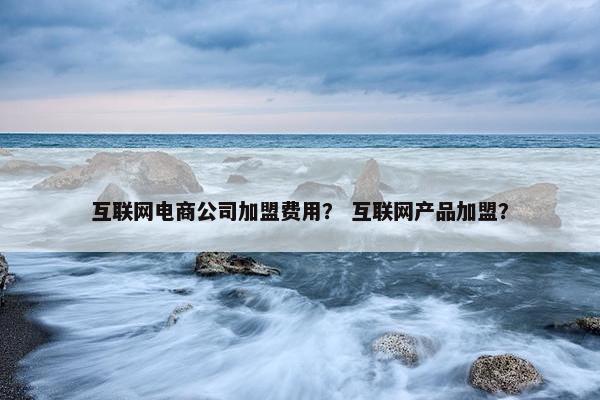 互联网电商公司加盟费用？ 互联网产品加盟？