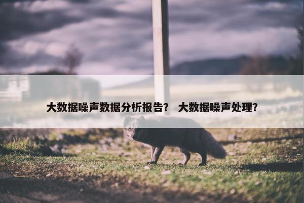 大数据噪声数据分析报告？ 大数据噪声处理？