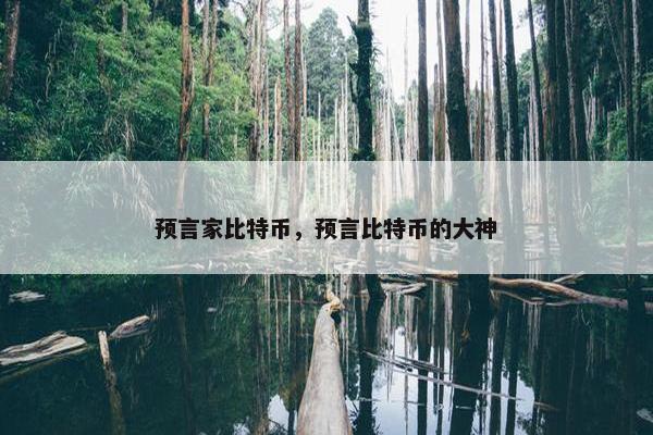 预言家比特币，预言比特币的大神