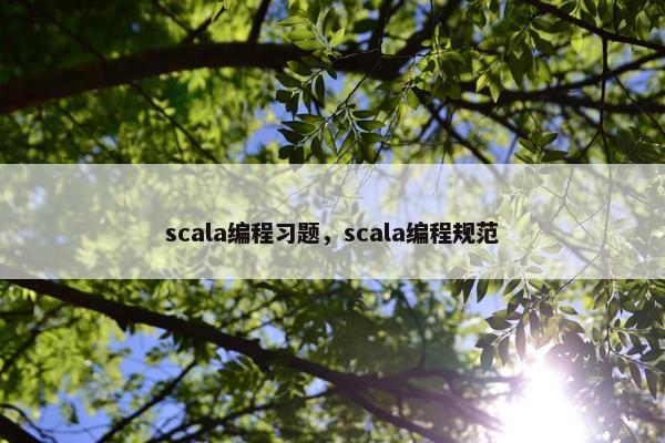 scala编程习题，scala编程规范