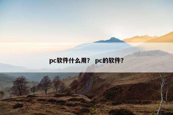 pc软件什么用？ pc的软件？