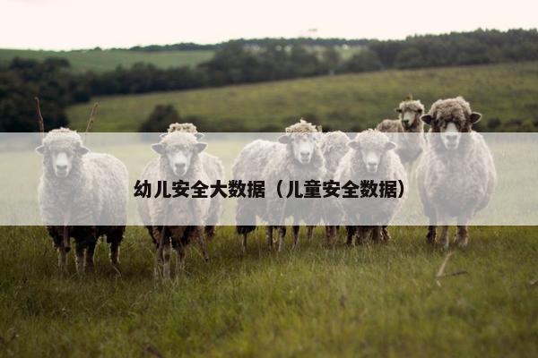 幼儿安全大数据（儿童安全数据）