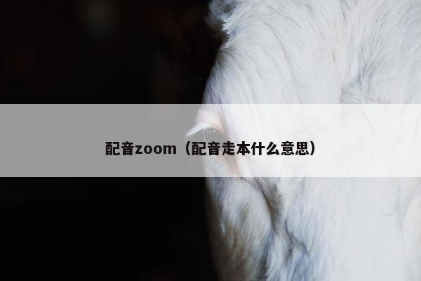 配音zoom（配音走本什么意思）