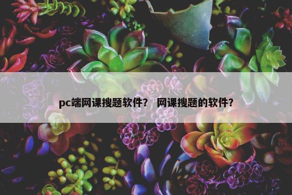 pc端网课搜题软件？ 网课搜题的软件？