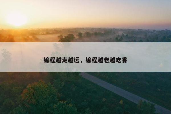 编程越走越远，编程越老越吃香