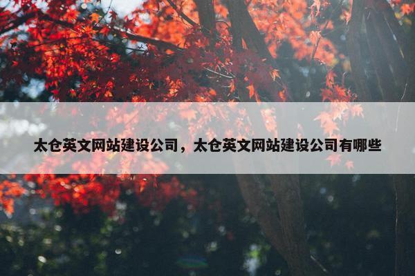 太仓英文网站建设公司，太仓英文网站建设公司有哪些