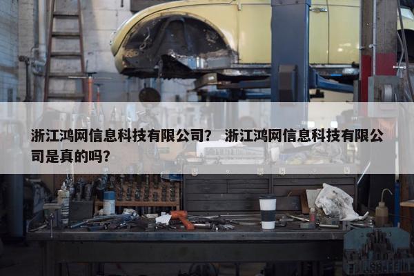 浙江鸿网信息科技有限公司？ 浙江鸿网信息科技有限公司是真的吗？