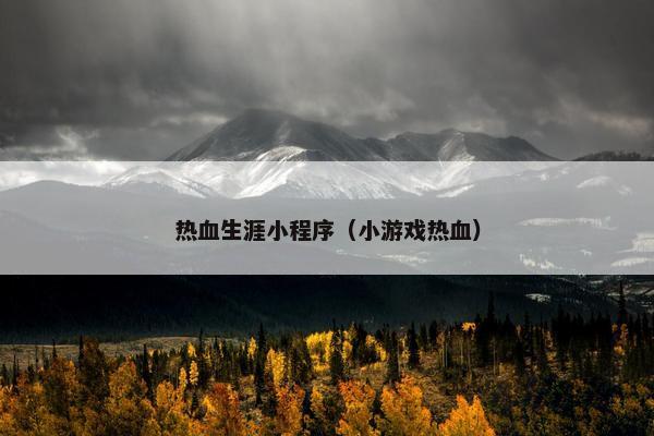 热血生涯小程序（小游戏热血）
