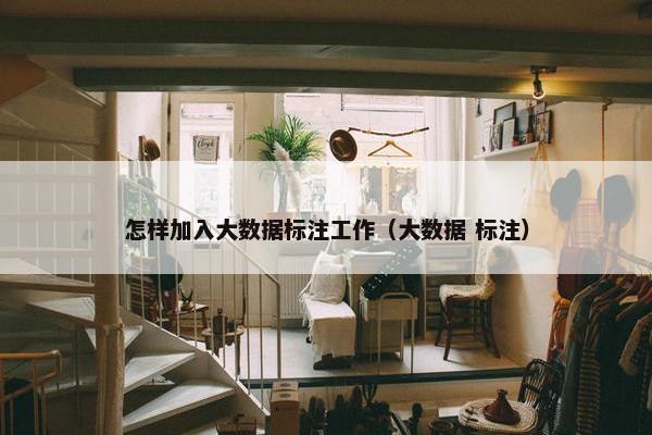 怎样加入大数据标注工作（大数据 标注）
