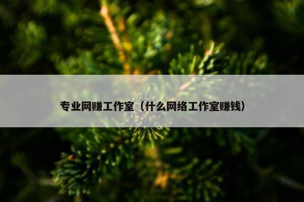 专业网赚工作室（什么网络工作室赚钱）