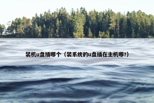 装机u盘插哪个（装系统的u盘插在主机哪?）