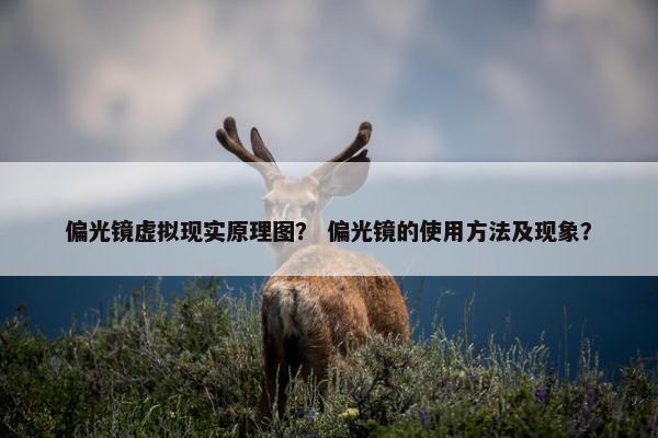 偏光镜虚拟现实原理图？ 偏光镜的使用方法及现象？