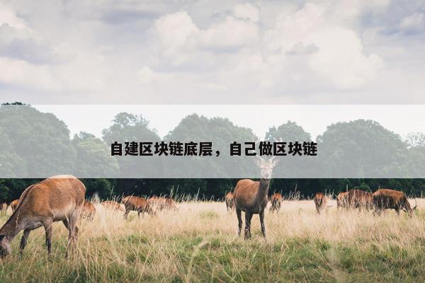 自建区块链底层，自己做区块链
