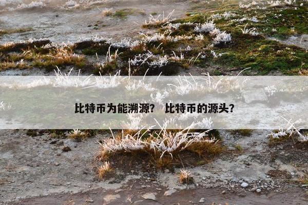 比特币为能溯源？ 比特币的源头？