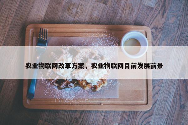 农业物联网改革方案，农业物联网目前发展前景