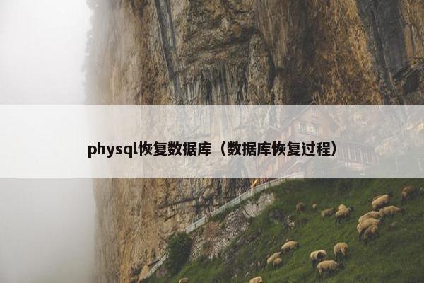 physql恢复数据库（数据库恢复过程）