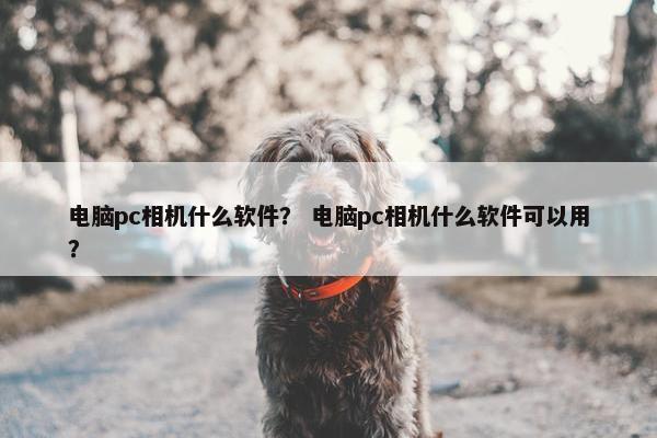 电脑pc相机什么软件？ 电脑pc相机什么软件可以用？