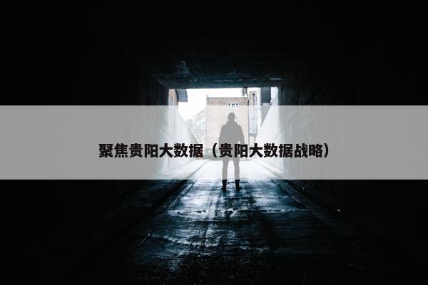 聚焦贵阳大数据（贵阳大数据战略）