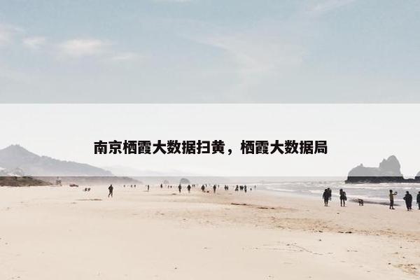 南京栖霞大数据扫黄，栖霞大数据局