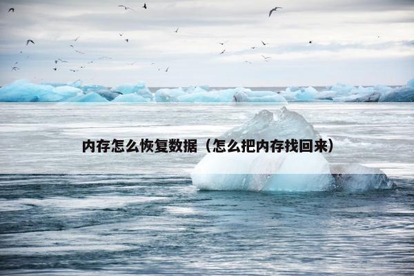 内存怎么恢复数据（怎么把内存找回来）