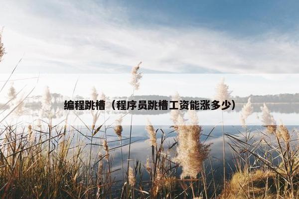 编程跳槽（程序员跳槽工资能涨多少）