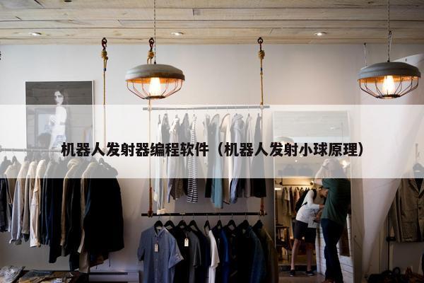 机器人发射器编程软件（机器人发射小球原理）