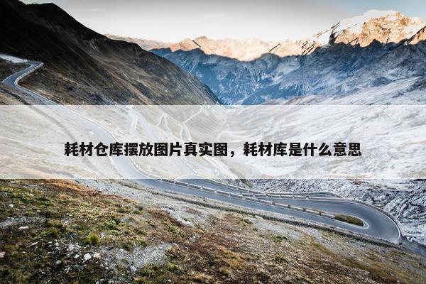 耗材仓库摆放图片真实图，耗材库是什么意思